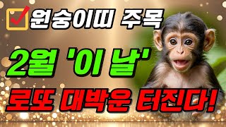 원숭이띠 주목! 2025년 1월 원숭이띠 로또 대박납니다! 로또 1등 당첨되는 원숭이띠를 위한 충격적인 운세 2025년 원숭이띠 운세