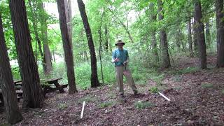 The Difference Between a Ley Line and Energy Line #leylines #energyline #earthenergies