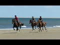 holkham beach gallop mable willow and ted