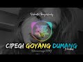 DJ CIPEGI GOYANG DUMANG X MASHUP VIRAL TIKTOK REMIX (Rohmanmasjoe Remix)