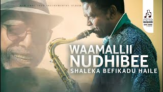 WAAMALLII NUDHIBEE - SHALEKA BEFIKADU HAILE( Official Instrumental Music 2025 )