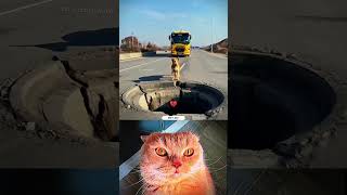 Bus accident 🥹 ll cat bombastic #popular #shorts