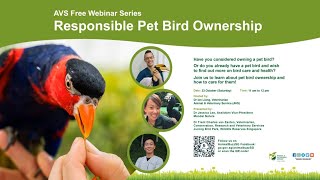 AVS Free Webinar Series | Responsible Pet Bird Ownership