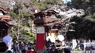 美浜町 上野間地区祭礼2019 神武祭MAH05356　南祭典部　四嶋組 山下し