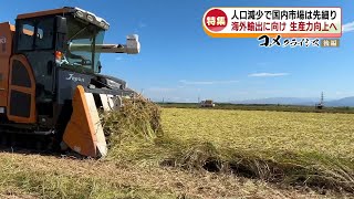 【特集】国内の米価高騰のウラで海外輸出が岐路に立っていた…台湾への値上げ交渉に密着　“コメクライシス”後編　≪新潟≫