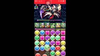 【パズドラ】ヘラチャレンジ創樹妃 高速周回用ペルセウスPT