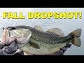 Best Fall Dropshot Tips for Bass Fishing (These Work!) | Bass Fishing