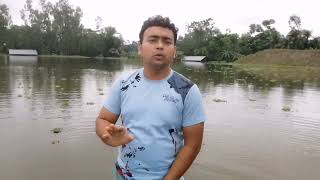 আসুন বন্যার্তদের পাশে দাঁড়াই।