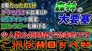 【5分で2万ポイント】今回の期間限定クエスト『森林の大要塞』はマジで旨いので周回しましょう【イベント】【PSO2NGS】【NGS】