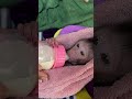 Cute Baby Girl