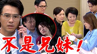 天道│EP112 子茜自覺丟臉想不開！阿嬤國慶美華帶證據書證明與東俊並無血緣關係 Fight For Justice│ Vidol.tv