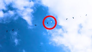What was Found Floating in the Sky Shocked Everyone