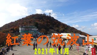 2021年11月【百名山】筑波山の紅葉