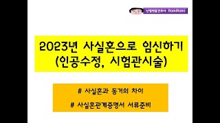 2023년 사실혼으로 임신하기!(혼인신고 X)