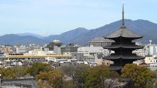 ドクターイエローと東寺・五重塔.World Heritage  To-Ji in Kyoto w/Doctor Yellow 2016-4-5