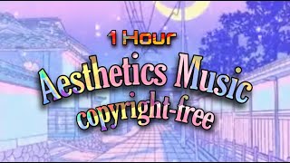 1 Hour of Aesthetic Music No Copyright