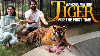 WARISHA MEETING TIGER FOR THE FIRST TIME