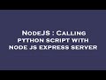 NodeJS : Calling python script with node js express server