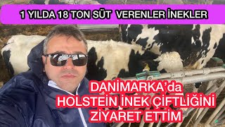 #inekpeşinde 🇩🇰 DANİMARKA’da HOLSTEİN SÜT İŞLETMELERİNİ ZİYARET ETTİM.Sizler için görüntüledim.