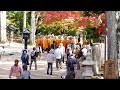 高野山で見た修行僧（monks practicing asceticism at mt. koyasan） november 4th 2011