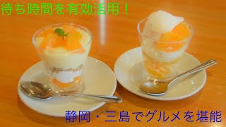 【さわやか】3時間待ちを有効活用！三島のまちを観光\u0026グルメフィーバー【富士山】