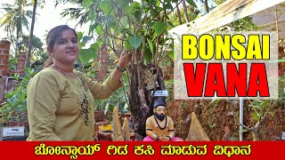 ಬೋನ್ಸಾಯ್ ಗಿಡ ಕಸಿ ಮಾಡುವ ವಿಧಾನ | Bonsai Tree Grafting Method | Gardening Tips | Mr and Mrs Kamath