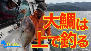 【ランカー狙い】大鯛は上で釣る！浮いてる真鯛を直撃【タイラバ】