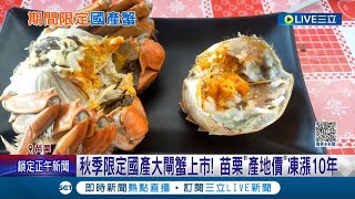 蟹膏看起來又肥又多超誘人! 秋季限定國產大閘蟹上市! 苗栗\