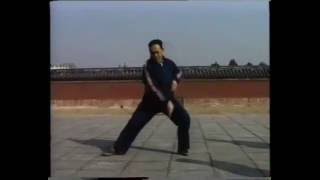 Feng Zhiqiang Chen Taiji 48 - 冯志强 陈式太极拳精练四十八