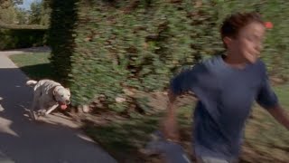 Malcolm outruns Dog - training (HQ) | S1 E4 - Malcolm In The Middle