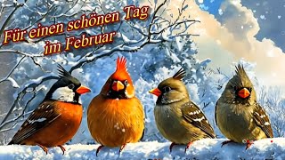 Liebe Grüße am Samstag für einen schönen Tag im Februar 💖 ⛄