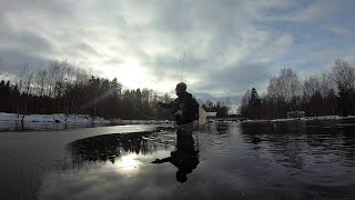 Fly fishing in Läsäkoski 2018