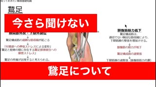 【今さら聞けない膝関節④】鵞足について［スキマ時間で学ぶ理学療法］