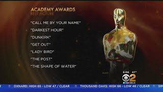 'Shape Of Water' Leads Oscar Nominations With 13 Nods