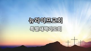 [뉴라이프교회-김상윤 목사] 20241128(목) 세 이레 특새 16 단 9:1-19 다니엘의 중보기도