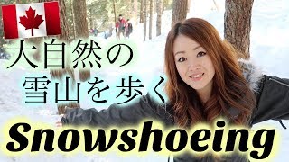 【カナダ】大自然の雪山でのんびりスノーシューのはずが…