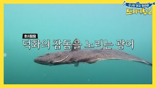 [선공개] 갑자기 광어가 왜 거기서 나와... | 도시어부 시즌2 25 회