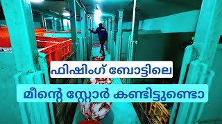 ഫിഷിംഗ് ബോട്ടിലെ സ്റ്റോറിലെ കാഴ്ചകൾ | Fishing Boat's Fish store