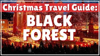 Freiburg! Germany's Black Forest in Winter! Christmas Markets, Cathedrals, and Beer I Travel Guide