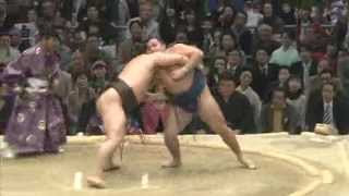 Kettei-sen Hakuho vs Kakuryu