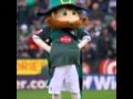 Plymouth Argyle Best Team In The World (SONG)