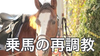 乗馬の再調教【乗馬・馬術】Horseback riding retraining【HorseCommunicationJapan】