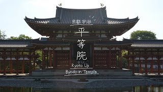 【Kyoto】Uji , Byodoin Temple  (green tea/wisteria/Japan/trip/vlog)