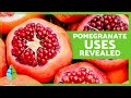 BENEFITS of POMEGRANATE ❤️✅ Medicinal Properties, Best Ways to Consume, and Contraindications!