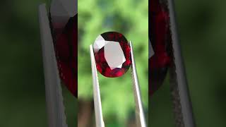 8.48กะรัต พลอยโกเมน หรือ สเปซซาไทท์การ์เน็ท ดิบ (Spessartite Garnet) จากประเทศไนจีเรีย 12900 บาท