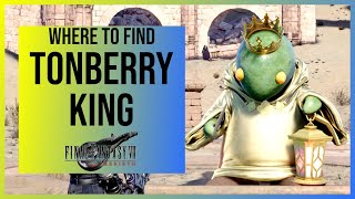 FF7 Rebirth: Tonberry King Location \u0026 How To Get Pristine Crown