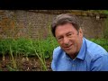 how to grow your own strawberries with alan titchmarsh waitrose u0026 partners