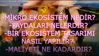 MİKRO EKOSİSTEM NEDİR? FAYDALARI NELERDİR? BİR EKOSİSTEM TASARIMI NASIL YAPILIR? VE MALİYETİ..