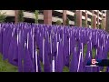 2,033 flags planted outside hospital to represent Mass. overdose deaths