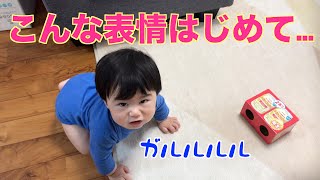 【決定的瞬間!!】〜とうとうやってくれた！？〜【初めてのお座り】生後８ヶ月　First time sitting